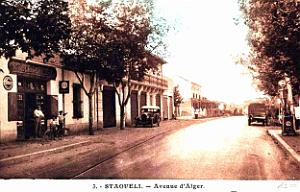 Staoueli - Avenue d'Alger